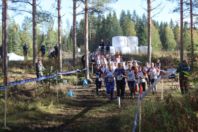 The World Championship event held alongside the WOC Tour Orienteering Week offers competitors a great vantage point