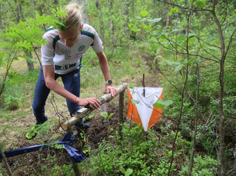 Fin5-suunnistusviikon jälki-ilmoittautuminen käynnissä – MM-edustajat valittu Kuopion kotikisoihin